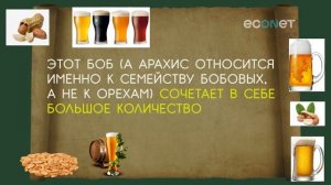 Монтаж ролика на заказ пример какие продукты не сочетаются между собой