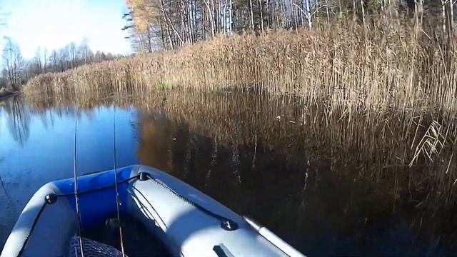 10 утра и нежданный ледок не реке 22 октября 2018 год Городокский р-он 1-я часть смотреть онлайн