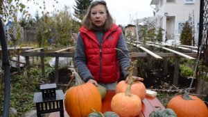 Тыква: сорта и секреты хранения