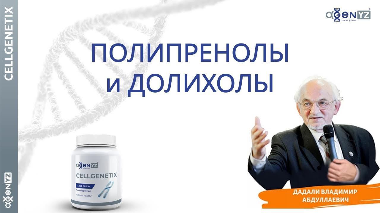 О полипренолах в СелГенетикс от профессора В.Дадали