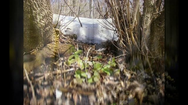 "СНЕГ И КИСЛИЧКА" (Эдуард Шим) смотреть онлайн