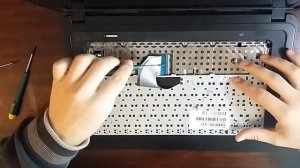 Как разобрать ноутбук HP (Hewlett Packard) Compaq Presario cq 57? Чистка от пыли. Замена термопасты
