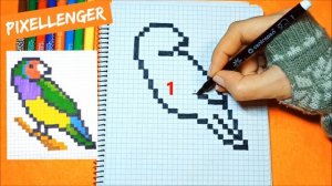 Как рисовать по клеточкам Птичку Гульдову Амадину? Простые рисунки How to Draw Bird Pixel Art