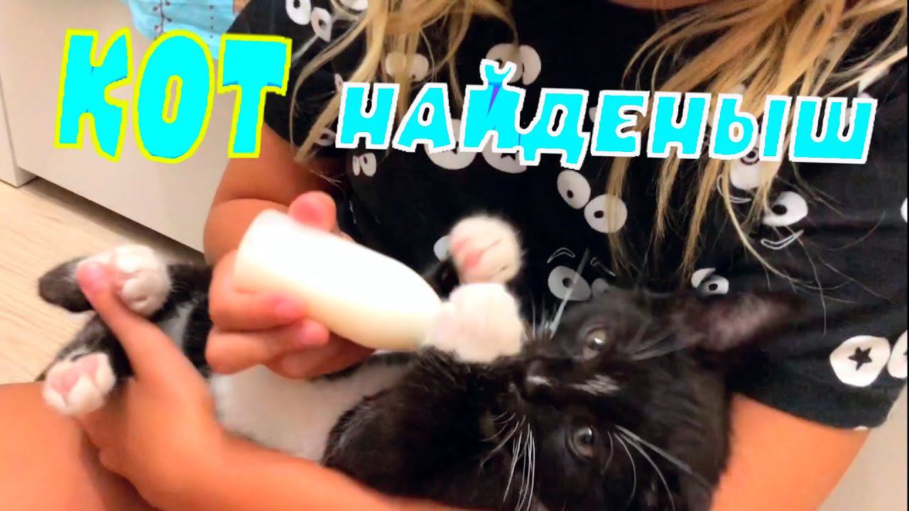 Наш КОТ найденыш уже подрастает… #3