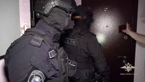Ирина Волк: Полицейские пресекли незаконную рубку лесных насаждений в Ленинградской области