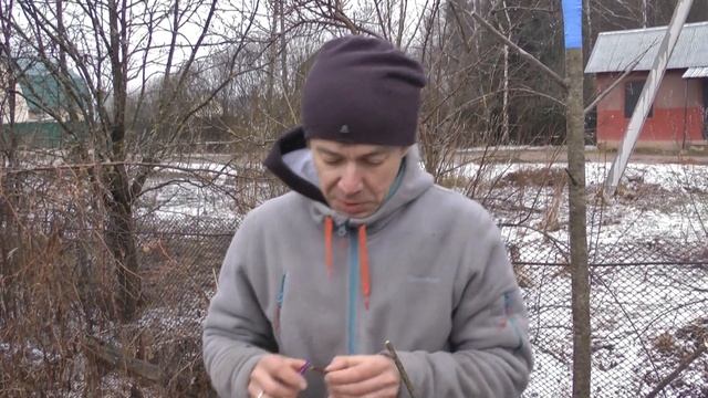 Прививка груши на рябину в Подмосковье. От прививки до появления плодов - полный цикл развития! смотреть онлайн