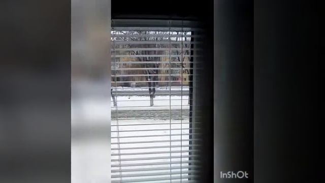 Установка жалюзи дома.