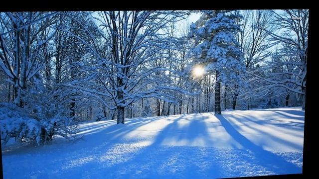 А зима будет большая Варвара Визбор смотреть онлайн