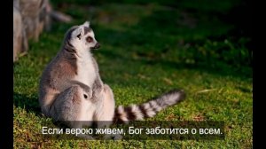 Свое бремя положи у ног Христа