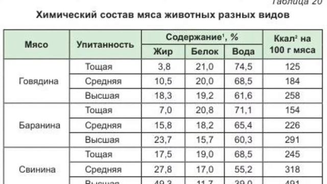 Сколько белка в мясе. Состав мяса (энергетическая ценность). Содержание белка в мясе. Химический состав разных видов мяса. Химический состав и энергетическая ценность мяса.