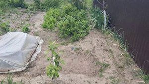 Дружковка, Донецкая область, 10.05.23 - Обстановка
