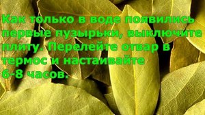 Копия видео "4  Лечение гайморита отваром лаврового листа"
