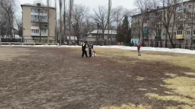 Фиелисс Норден