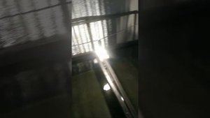 Завёз 2 маточных стада креветки розенберга в узв