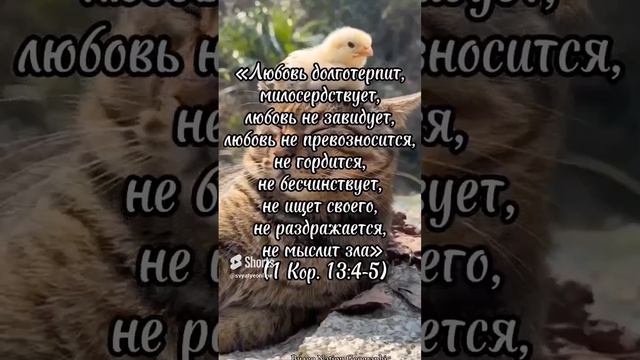 ЛЮБОВЬ, КОТОРУЮ ЧУВСТВУЕТ ВСЕ ЖИВОЕ