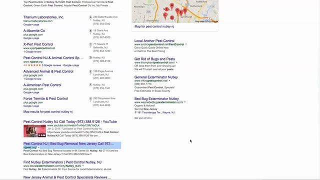 Pest Control SEO Search Engine Optimization Proof Case Study смотреть онлайн
