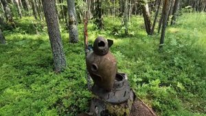 ОСТРОВ СЕСКАР | ФИНСКИЙ ЗАЛИВ НА ПВХ ЛОДКЕ | ПОГРАНЧИНЫЕ ОСТРОВА