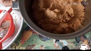 Пасека и заготовки из яблок . Пастила в электрической сушилке Ротор Дива Алтайского производства .