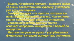 К чему снится ЛЯГУШКА? Толкование сновидений.