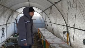 Зимовка 2020 в ульях ппу медведь на Урале в теплице