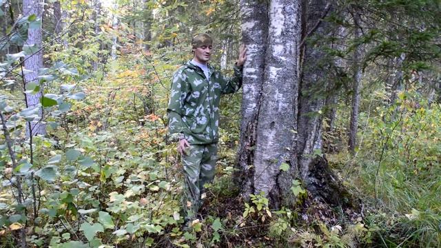 Стихотворение "Берёзка" - Карпов А.В. смотреть онлайн