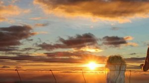 Не ищи меня...