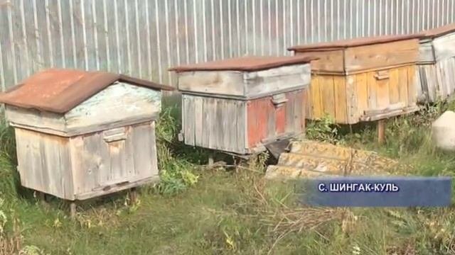 Технология изобилия