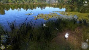 Трофейная рыбалка на Комарином. Точка на Язя и Окуня - Русская Рыбалка 4 #236