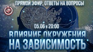 Открытая лекция: Как окружение влияет на зависимость