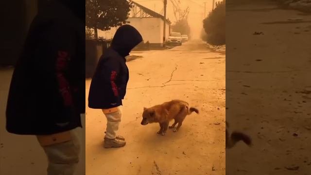 Чувство ритма