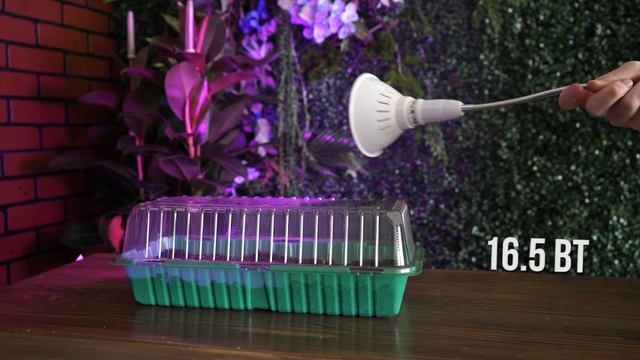 Разница мощности фитоламп ✿ Досветка рассады ✿ Какой мощности выбрать фитолампу смотреть онлайн