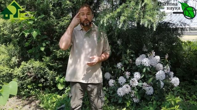 РОКОВАЯ ОШИБКА в ПОДКОРМКЕ РАСТЕНИЙ! ДАЖЕ ОПЫТНЫЕ ошибаются! Если накосячил, ВОТ КАК все ИСПРАВИТЬ! смотреть онлайн