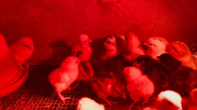 15-07-2023 смотреть онлайн