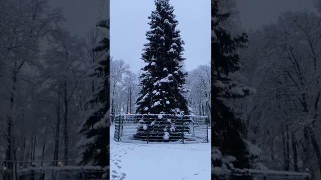 ❄ В Краснодарском крае сегодня выпал первый снег. На видео Горячий Ключ, Белореченск, Апшеронск.