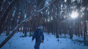 Зимний одиночный поход: "Жаркое в хвойном лесу"