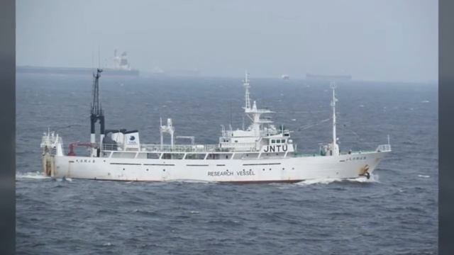 5  САМИХ ТАИНСТВЕННЫХ ЗАГАДОК МОРСКИХ ГЛУБИН