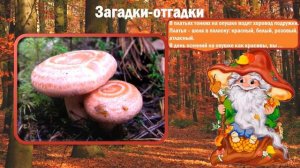 Осенние грибы и ягоды