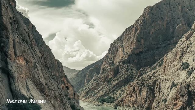 Трое мажоров надругались над девушкой, а через 10 лет судьба свела их снова... смотреть онлайн