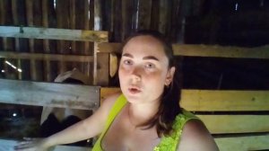 Почему не стоит крыть рано телку