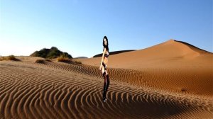 футаж ПУСТЫНЯ 4