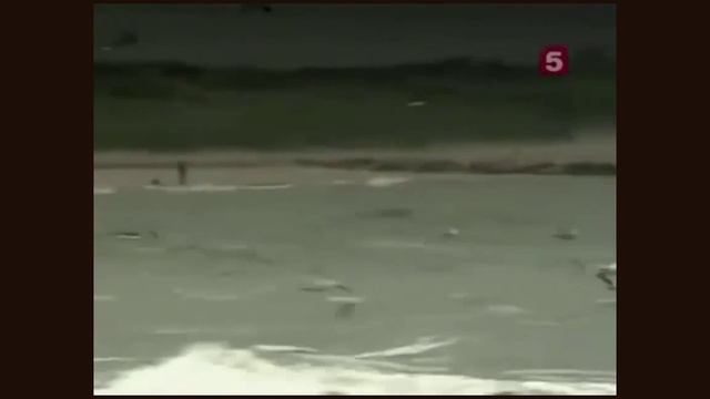 Нормандское завоевание