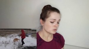 Организация вязки у собак