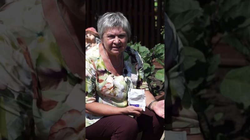 Нужно знать! Почему желтеют листья томатов (часть 6)  #томаты #хитсад