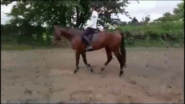 Породистый жеребец в очках с ветерком прокатил белую наездницу сверху на члене