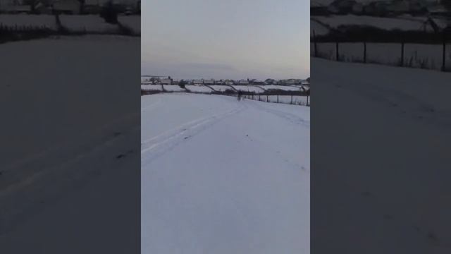 Самодельный снегоход из мотоблока смотреть онлайн