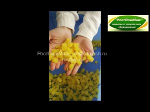 Нарезка кубиком овощей и фруктов CD-1500 от РостПищМаш