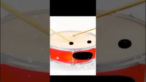 Чач помидор помидор помидор помидор помидор