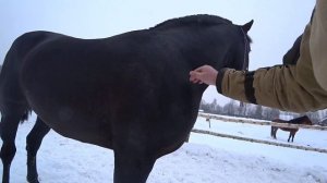 "ОДИН" часть 2я