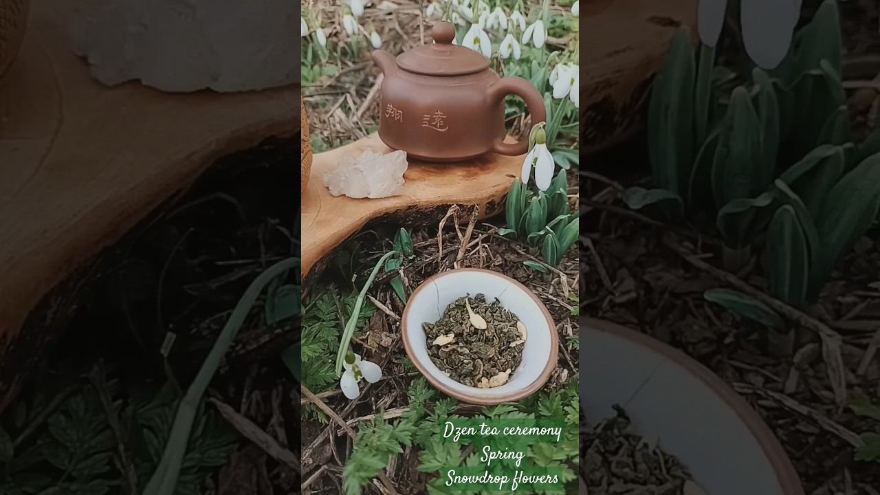 #teaceremony #spring2024 #dzen #aesthetic #чайнаяцеремония #жасмин #подснежники #весна2024 #essence