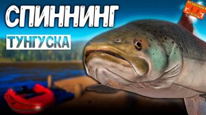 РР4/ рыбалка для души, ловим как универсал, общаемся 04.02.24